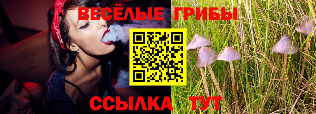 Кувандык  хочу наркоту  Вход с VPN  Галлюциногенные грибы Psilocybine cubensis  Галлюциногенные грибы MAGIC MUSHROOMS 