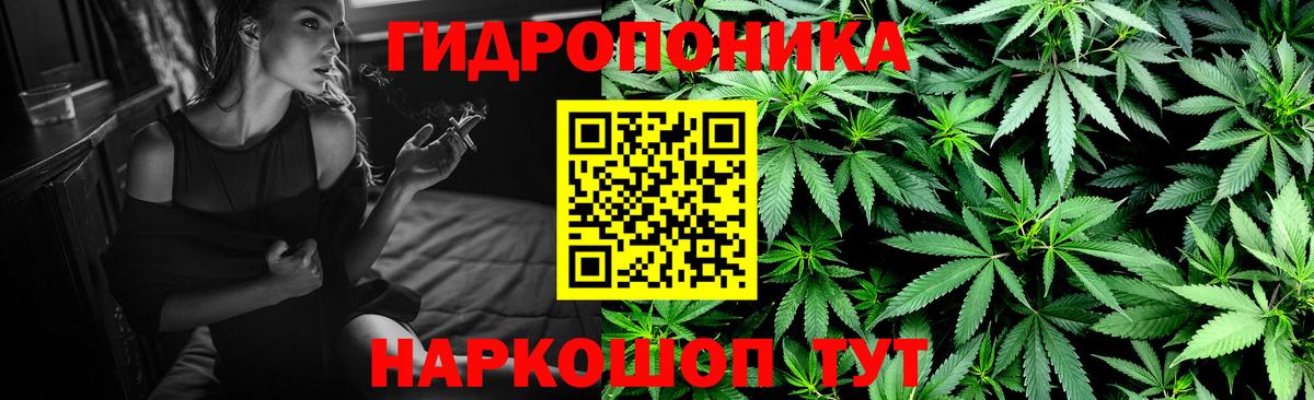 Конопля индика Кувандык